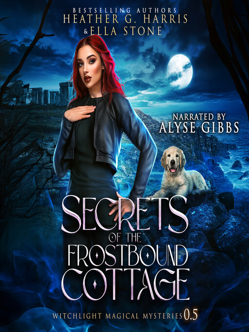 Cover image for Secrets of the Frostbound Cottage